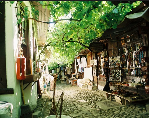 cennet turizm